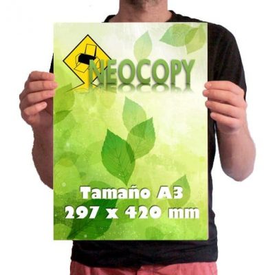neocopy cartel a3